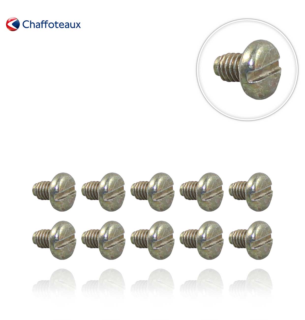 TORNILLOs M 4-6 (10uds.) CHAFFOTEAUX  60019197-03